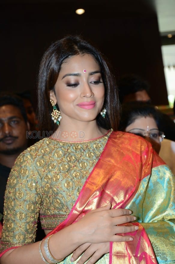 Actress Shriya Saran New Saree Photos