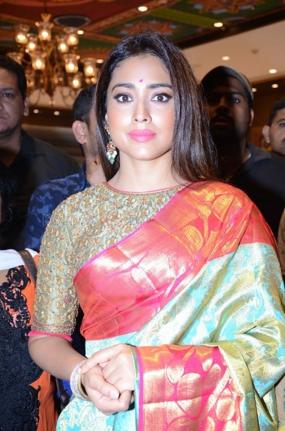 Actress Shriya Saran New Saree Photos