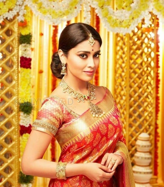 Actress Shriya Saran Saree Photos