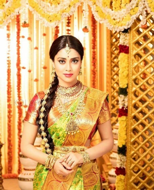 Actress Shriya Saran Saree Photos