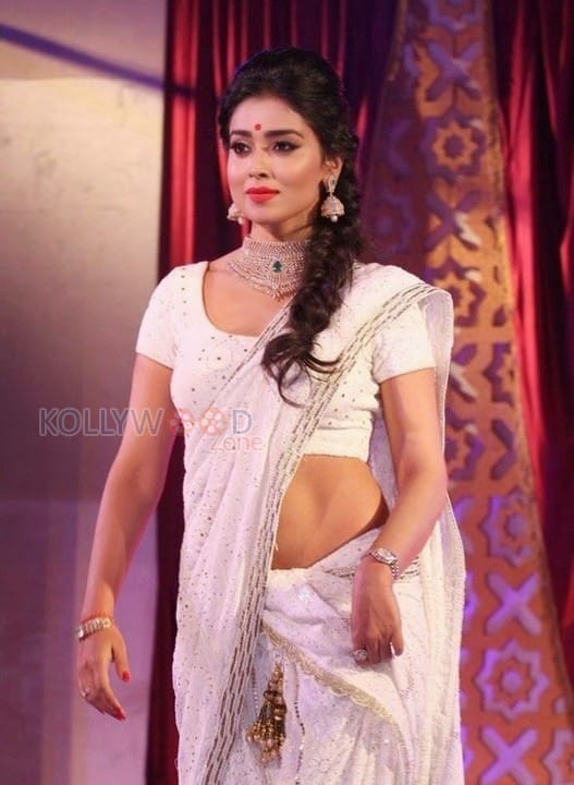 Actress Shriya Saran Sexy Saree Pics