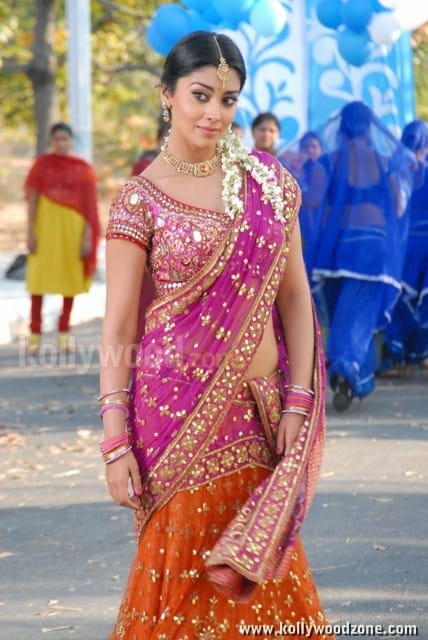 Actress Shriya Saran Sexy Stills