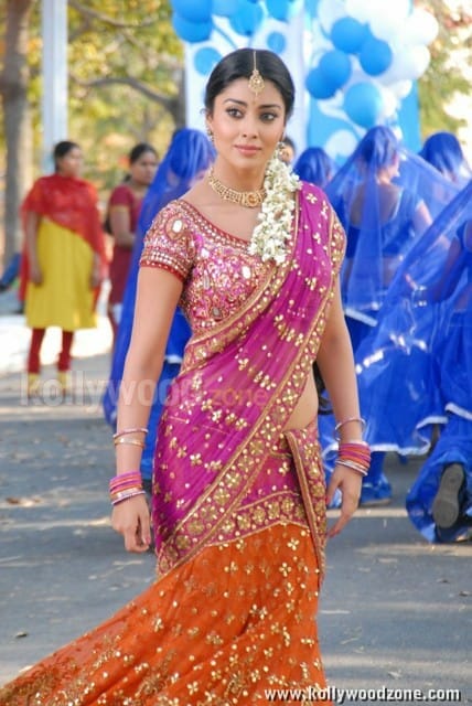 Actress Shriya Saran Sexy Stills