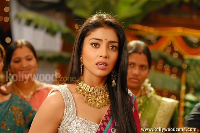 Actress Shriya Saran Sexy Stills