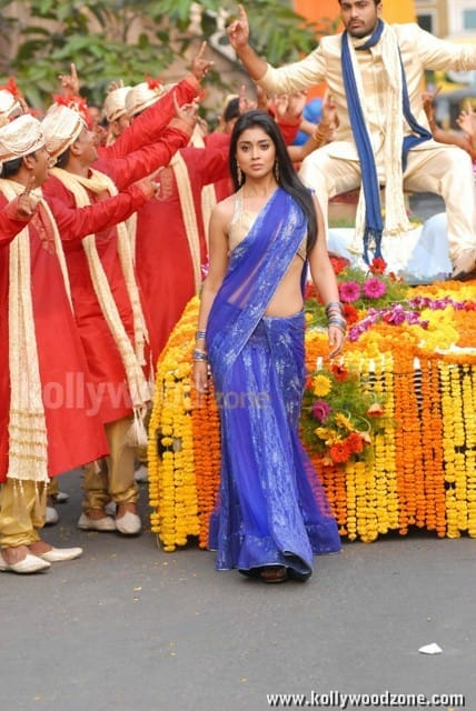 Actress Shriya Saran Sexy Stills