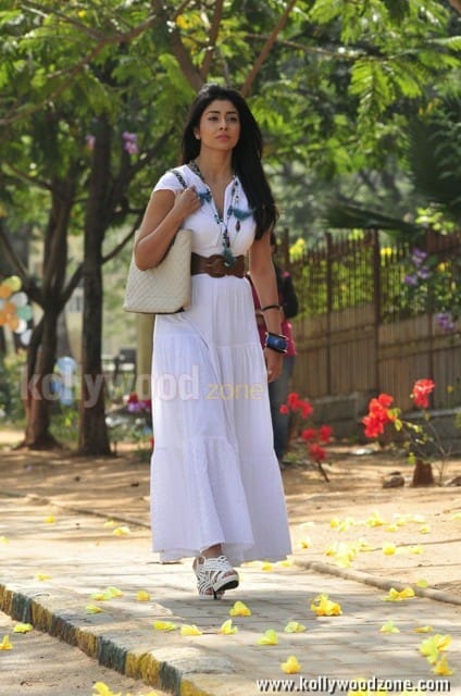 Actress Shriya Saran Sexy Stills