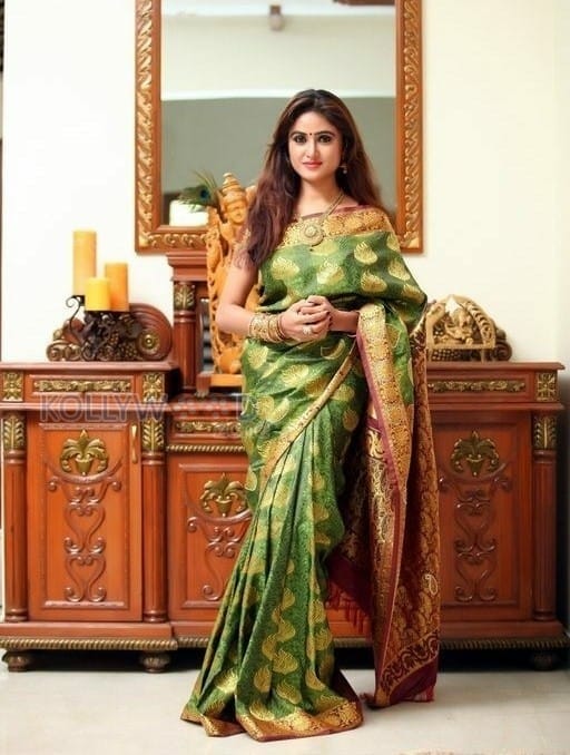 Actress Sony Charishta Beautiful Saree Photos