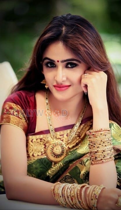 Actress Sony Charishta Beautiful Saree Photos