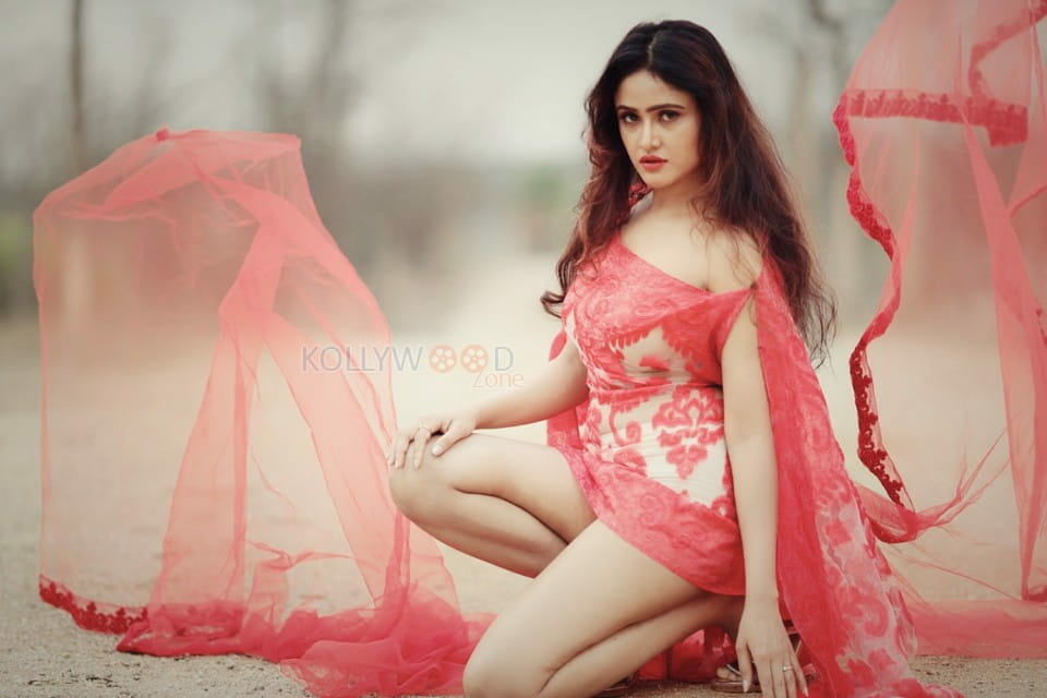 Actress Sony Charishta Latest Sexy Photoshoot Photos