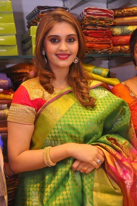 Actress Surabhi In Saree Pictures
