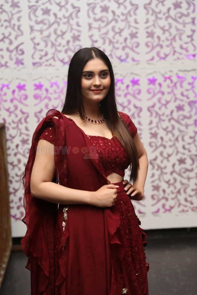 Actress Surbhi at Sashi Pre Release Event Photos