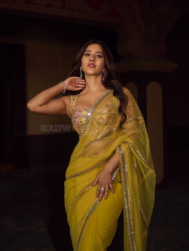 Attractive Nabha Natesh in a Yellow Netted Saree with a Corset Blouse Pictures 03