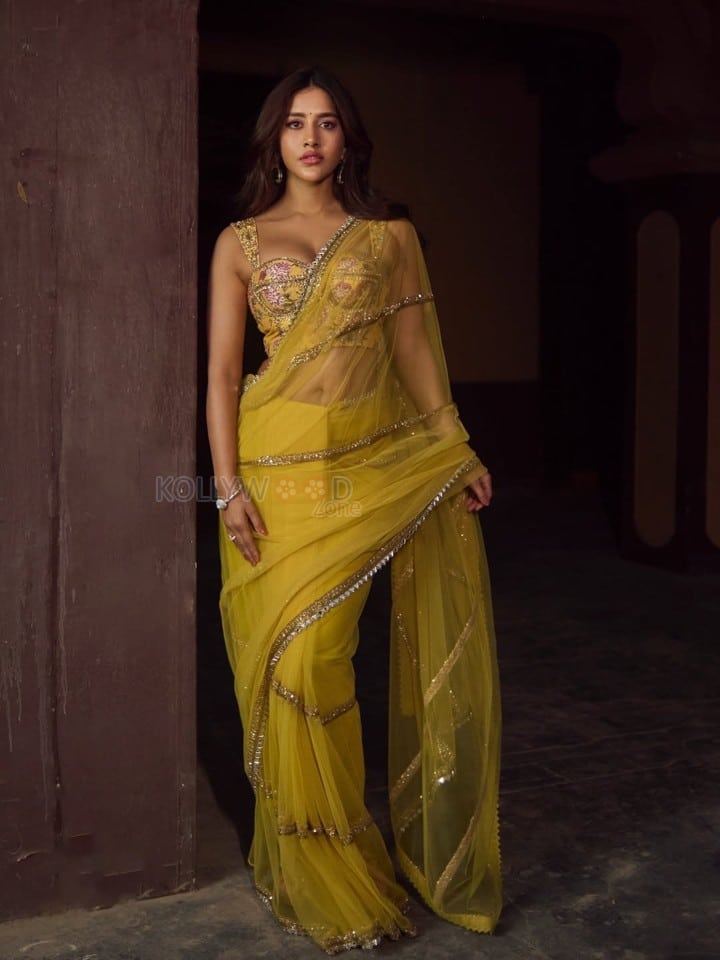 Attractive Nabha Natesh in a Yellow Netted Saree with a Corset Blouse Pictures 04