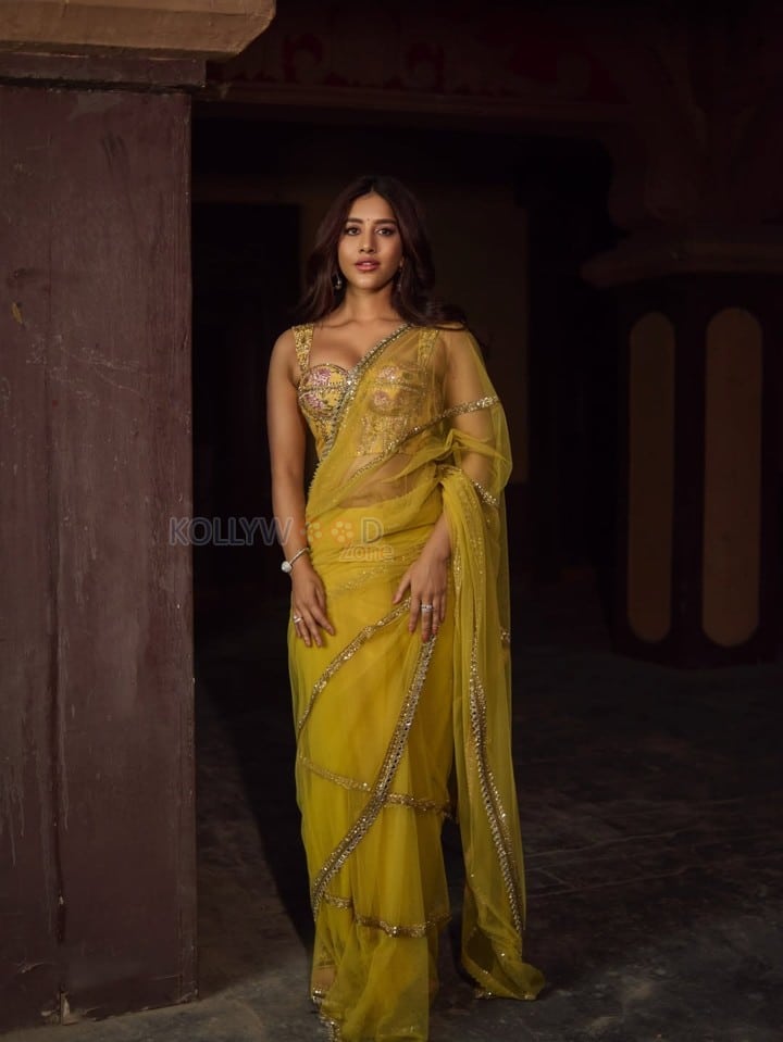 Attractive Nabha Natesh in a Yellow Netted Saree with a Corset Blouse Pictures 06