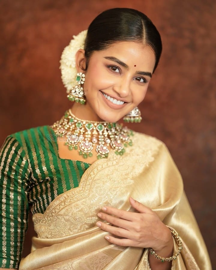 Beautiful Anupama Parameswaran in a Gold Silk Saree with a Green Blouse with Golden Stripes Photos 01