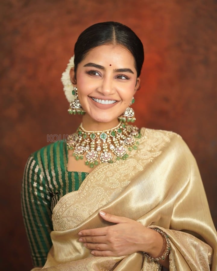 Beautiful Anupama Parameswaran in a Gold Silk Saree with a Green Blouse with Golden Stripes Photos 03