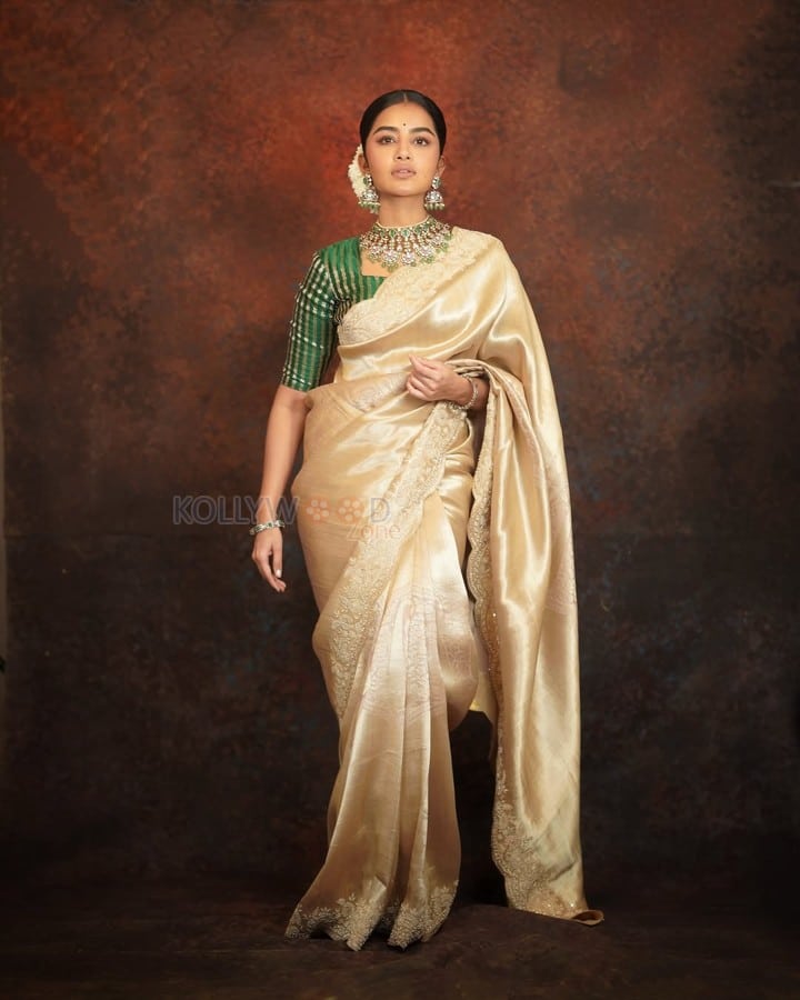 Beautiful Anupama Parameswaran in a Gold Silk Saree with a Green Blouse with Golden Stripes Photos 05