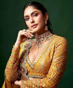 Beautiful Mrunal Thakur Photoshoot Pictures 03 (228223) | Kollywood Zone