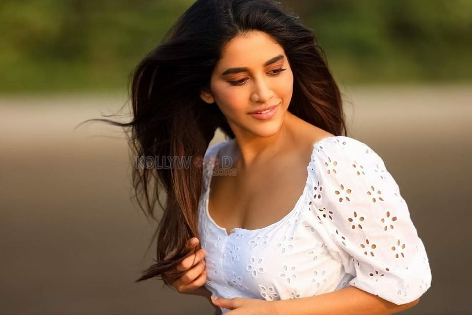 Beautiful Nabha Natesh White Dress Photoshoot Pictures