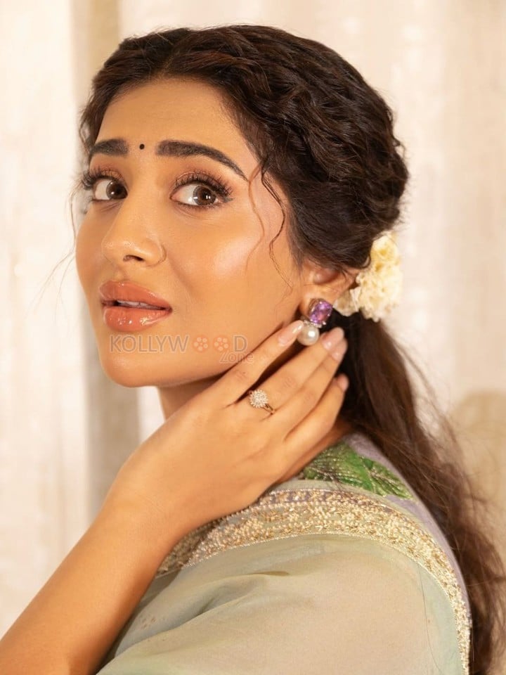 Beautiful Rashi Singh in a Light Green Sheer Printed Saree Photos 01