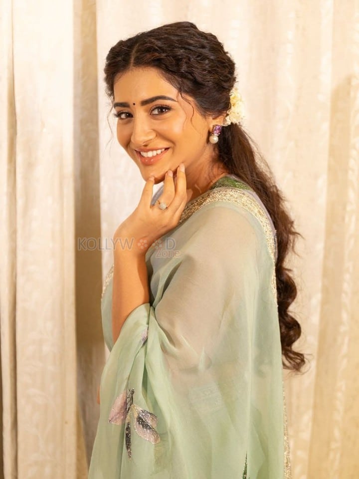 Beautiful Rashi Singh in a Light Green Sheer Printed Saree Photos 02
