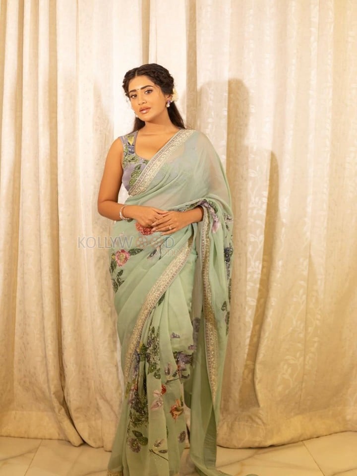 Beautiful Rashi Singh in a Light Green Sheer Printed Saree Photos 04