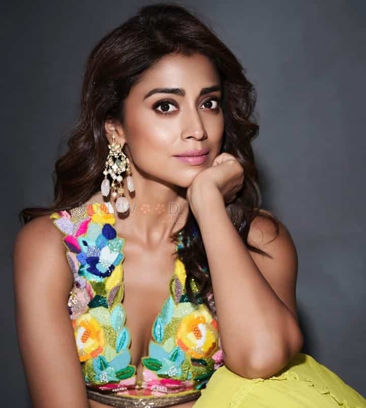 Beautiful Shriya Saran in a Colourful Dress Pictures 04