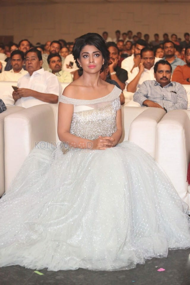 Beautiful Tamil Actress Shriya Saran Pictures