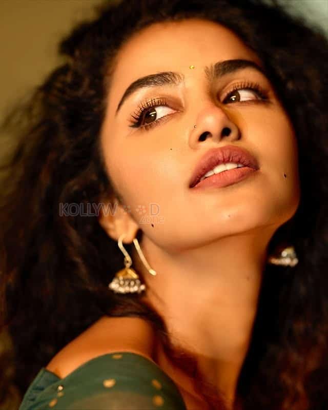 Beautifully Gorgeous Anupama Parameswaran in a Green Saree with Sheer Full Sleeve Blouse Photos 08