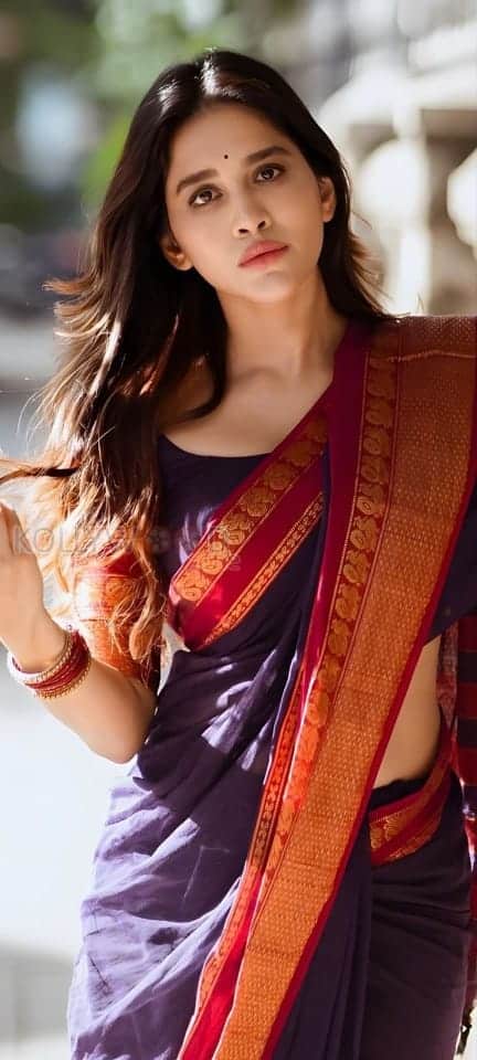 Beautifully Sexy Nabha Natesh in a Blue Silk Saree with Red Border Photos 01