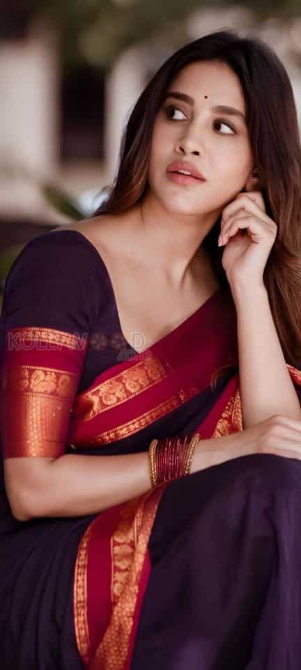 Beautifully Sexy Nabha Natesh in a Blue Silk Saree with Red Border Photos 04