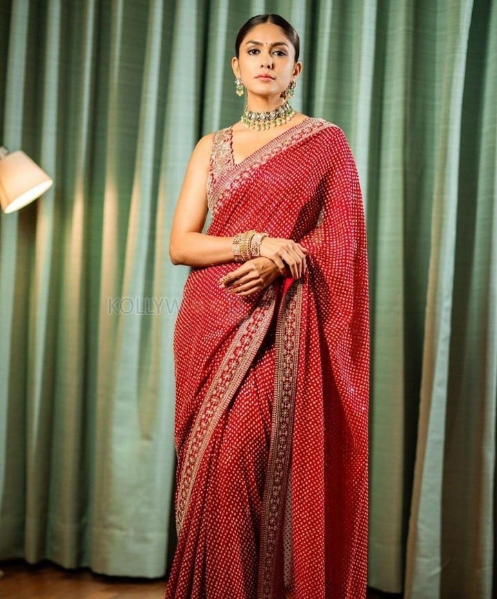 Beauty Mrunal Thakur in a Printed Embroidery Work In Lace Georgette Saree Photos 03