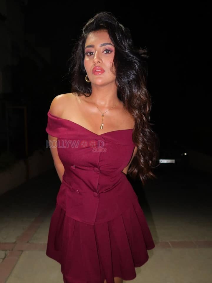 Bold Rashi Singh in a Off Shoulder Maroon Dress Photos 02
