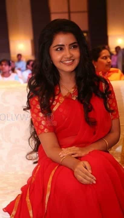 Cute Actress Anupama Parameshwaran Pictures