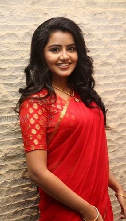 Cute Actress Anupama Parameshwaran Pictures