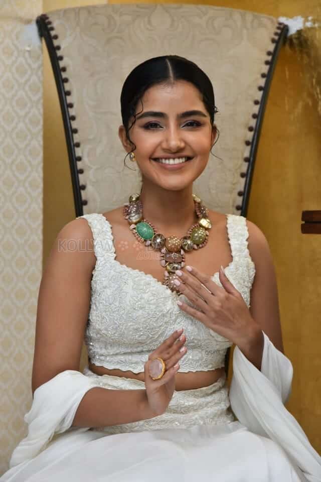 Cute Anupama Parameswaran at Karthikeya 2 Press Meet Photos 03