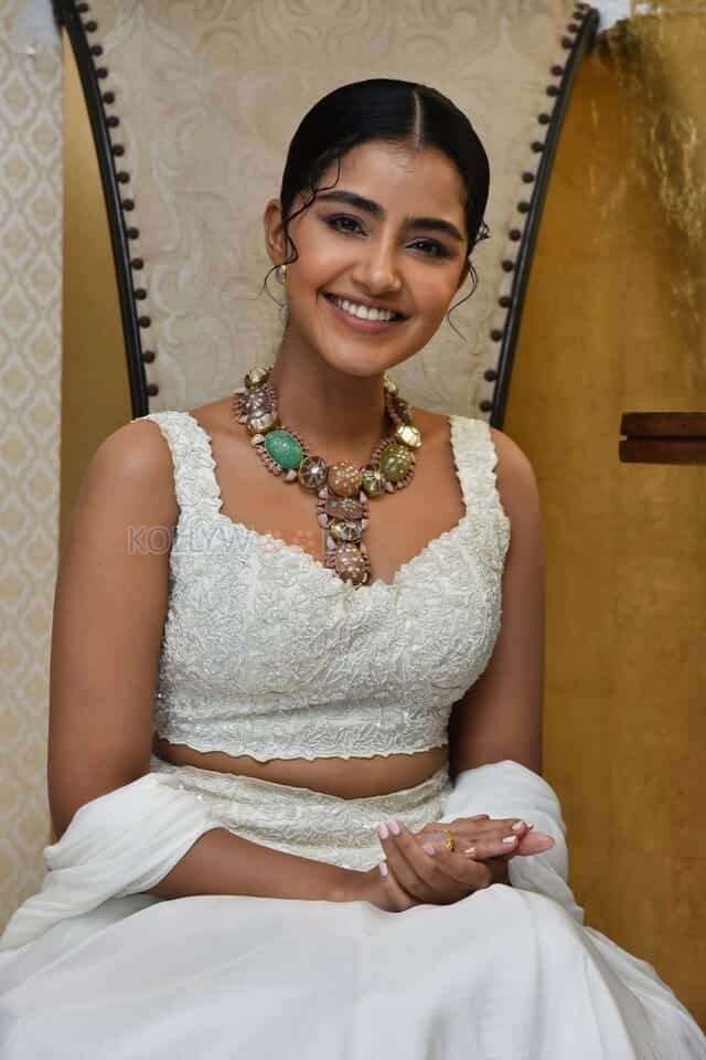 Cute Anupama Parameswaran at Karthikeya 2 Press Meet Photos 04