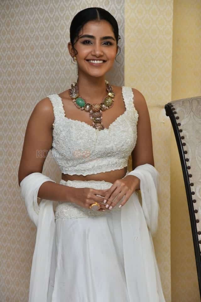 Cute Anupama Parameswaran at Karthikeya 2 Press Meet Photos 06