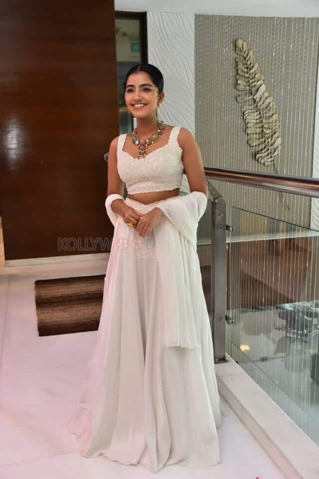 Cute Anupama Parameswaran at Karthikeya 2 Press Meet Photos 07