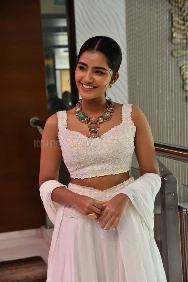 Cute Anupama Parameswaran at Karthikeya 2 Press Meet Photos 08