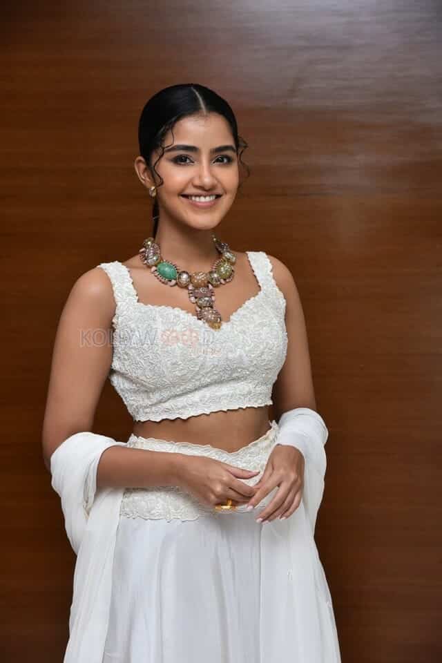 Cute Anupama Parameswaran at Karthikeya 2 Press Meet Photos 15