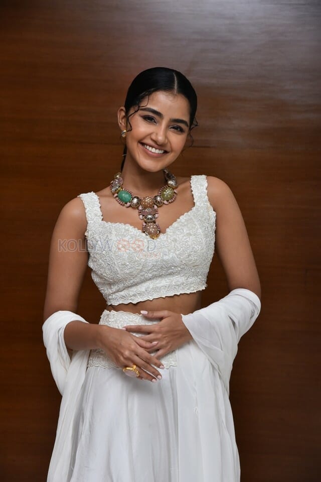 Cute Anupama Parameswaran at Karthikeya 2 Press Meet Photos 22