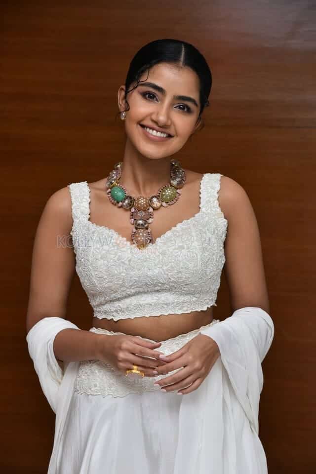 Cute Anupama Parameswaran at Karthikeya 2 Press Meet Photos 24