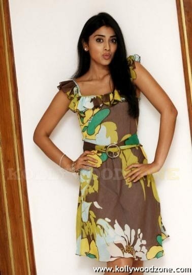 Cute Sexy Shriya Stills