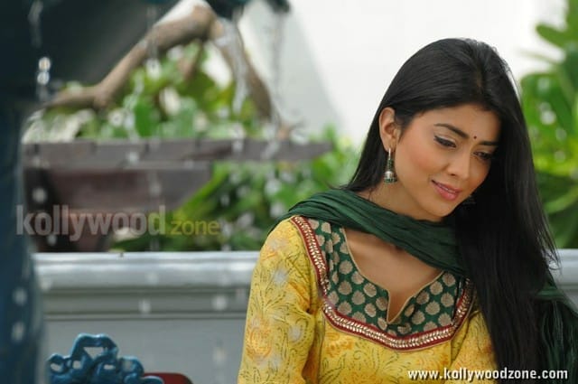 Cute Shriya In Rowthiram Movie Pics