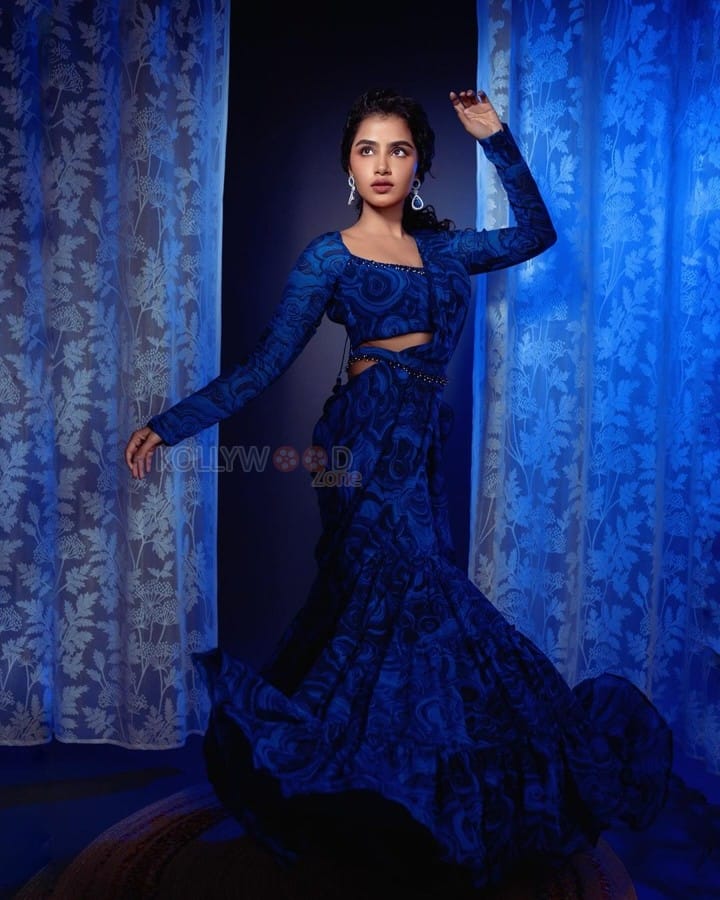 Elegant Anupama Parameswaran in a Blue and Black Printed Saree Photos 01