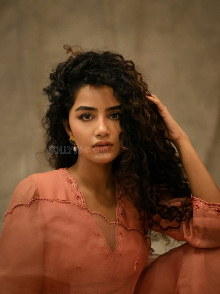 Elegant Beauty Anupama Parameswaran in a Peach Sharara Photos 03