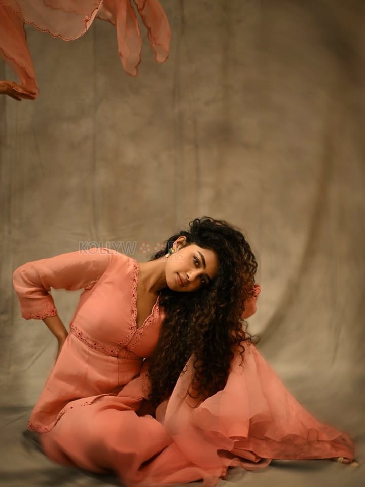 Elegant Beauty Anupama Parameswaran in a Peach Sharara Photos 05