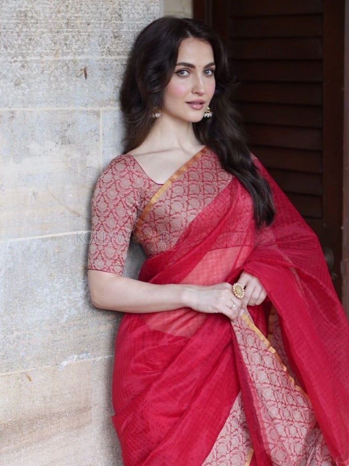 Elegant Elli AvrRam in a Traditional Red and Golden Border Saree Photos 01