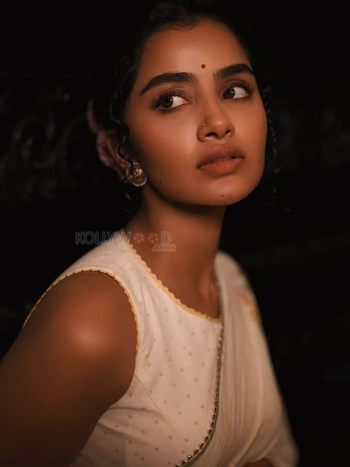 Elegant Heroine Anupama Parameswaran in a Cream Handover Floral Embroidered Saree Photos 03